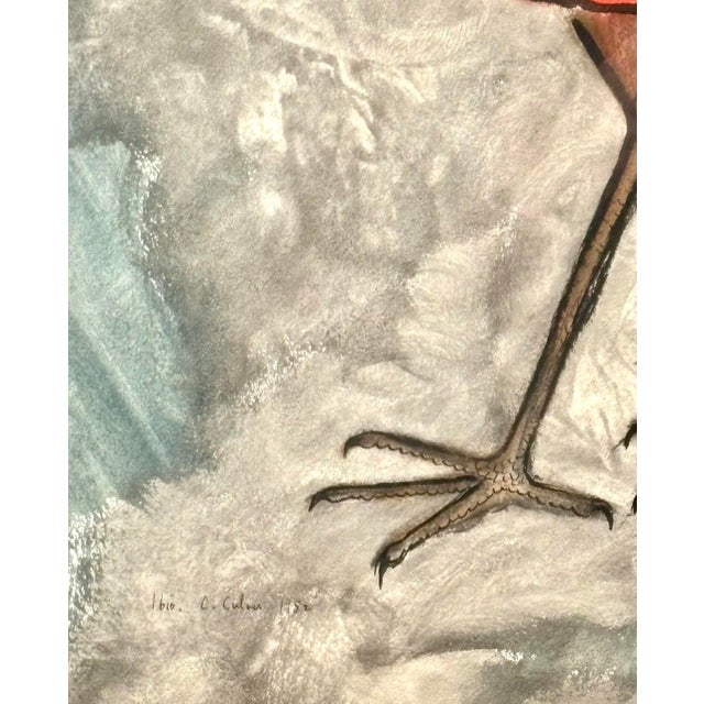 Pink Mid Century Original Watercolor, Gouache, and Charcoal on Paper, “Ibis” by Charles Culver For Sale - Image 8 of 12