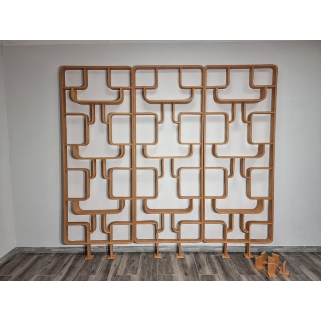 Room Dividers by Ludvik Volak for Drevopodnik Holesov, 1950s, Set of 3 For Sale - Image 9 of 11