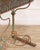 Large 19th Century French Wrought Iron Planter, Napoleon III Period For Sale - Image 10 of 14