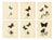 William Home Lizars, Cabinet-Size Butterfly Jewel-Tone Species, 1835, Engravings, Set of 6 For Sale