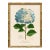 Reproduction Framed Blue Hydrangea Giclee Print I For Sale