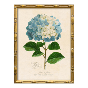 Reproduction Framed Blue Hydrangea Giclee Print I