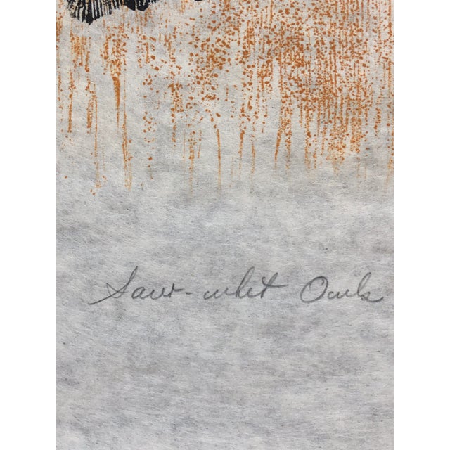 Farmhouse 1975 Martha Cawley Woodblock Print, Saw-Whet Owls, #1/100 For Sale - Image 3 of 9
