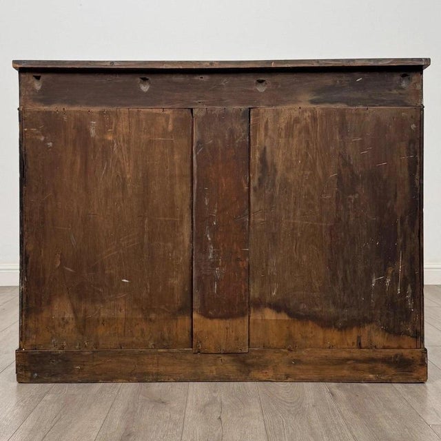 Antique 19th Century Regency Mahogany Cupboard For Sale - Image 10 of 12