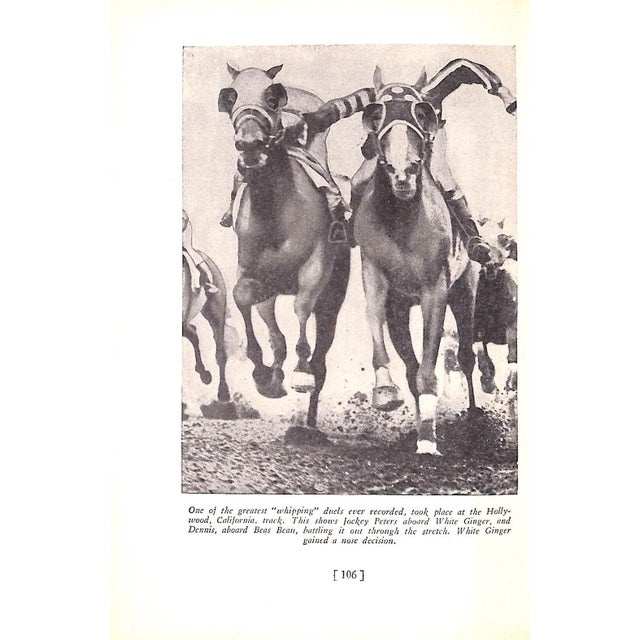 1940s "Stuff About Steeds" 1941 Kling, Ken For Sale - Image 5 of 7