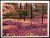 Printmaking Materials 1987 "Autumn Woods" Landscape Hand Signed Woodcut by Gordon Mortensen For Sale - Image 7 of 7