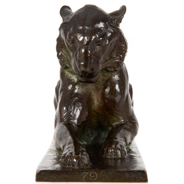 Early 20th Century Rare American Bronze Sculpture “Princeton Tiger” by Alexander Phimister Proctor For Sale - Image 5 of 12