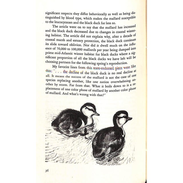 1980s "The Orvis Anthology: The c.f. Orvis Outdoor Writing Awards" 1984 Rosenbauer, Tom [Edited By] For Sale - Image 5 of 7