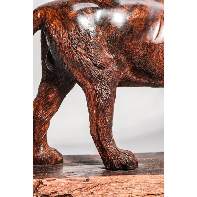19th Century Wonderful Hand Carved Wood Antique Victorian Male Lion Statue Sculpture Home Decor Black Forest Style For Sale - Image 5 of 16