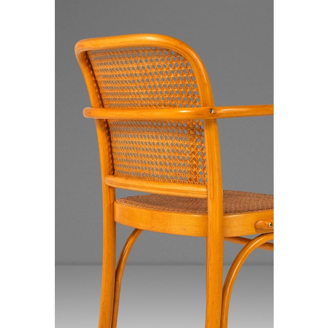 Scandinavian Modern Bentwood Model 811 "Prague" Dining Armchair by Josef Frank & Josef Hoffmann for Stendig, Poland, C. 1960s For Sale - Image 11 of 18