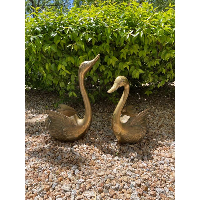 This captivating pair of vintage brass swan planters is sure to be an eye-catching centerpiece, whether placed indoors or...