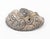 19th Century Peruvian Repousse Silver Mask For Sale - Image 5 of 6