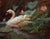 Among the Lilies by Bao Ho | Oil Painting of a swan among lily pads and flowers For Sale