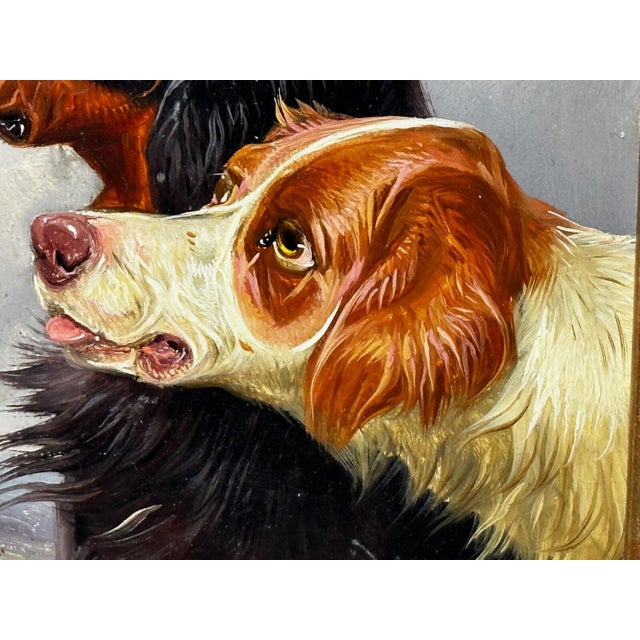 Colin Graeme Roe, c.1880 — Setters Gordon & Irish Red & White Dogs Oil on Winsor & Newton Board, Victorian Sporting Portrait For Sale - Image 4 of 18