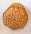 Wood Extra Large Mid-Century Burned Bamboo & Rattan Floor Planter Basket For Sale - Image 7 of 12