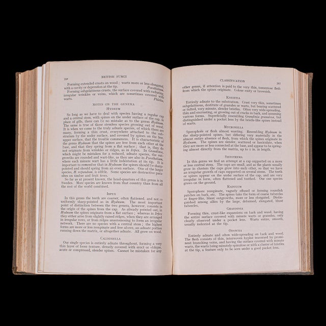 Antique Reference Book, British Fungi, George Massee, English, Natural, Science For Sale - Image 12 of 12