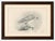 Antique greenland gyrfalcon bird print by lilian m. Medland, circa 1908 the plate depicts the pale greenland form of the...