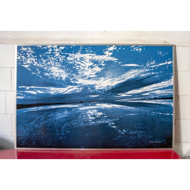 Black Vintage Italian Natura Print by Franco Fontana for AMAR collezioni Milano, 1976 For Sale - Image 8 of 8