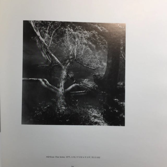 1990s 1995 The Robert C. May Photography Collection Book For Sale - Image 5 of 11
