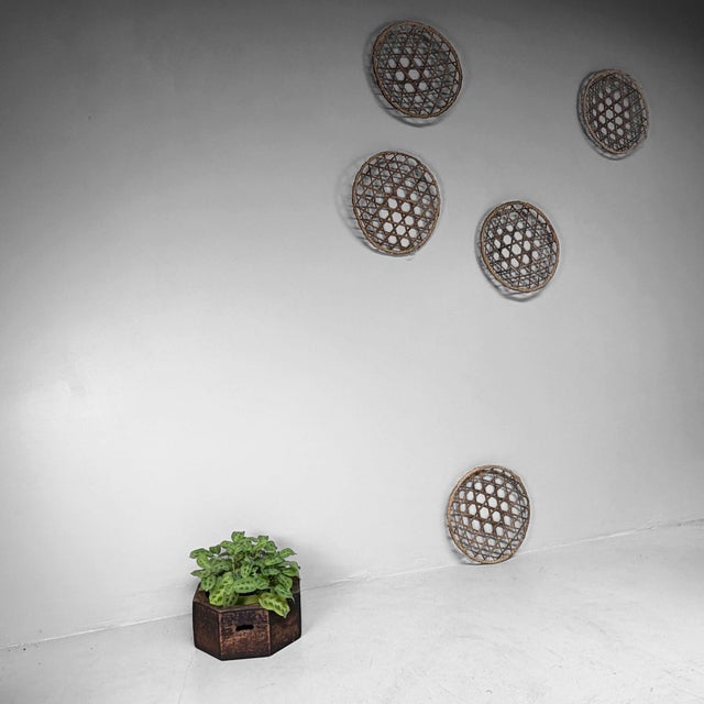 Mid-Century Modern Japanese Bamboo Zaru Drying Trays, 1930, Set of 5 For Sale - Image 3 of 13