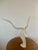 Mid-Century Lucite Ram’s Head Sculpture For Sale - Image 11 of 13