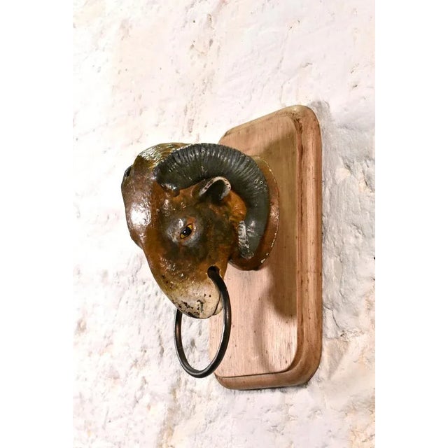Antique French Rams Head from Butchers Shop, 19th Century For Sale - Image 3 of 9