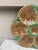 French 19th Century Majolica Chocolate Oyster Plate Luneville For Sale - Image 3 of 4
