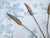 Metal Vintage Gold-Plated Wall-Mounted Candleholders, 1970s, Set of 2 For Sale - Image 7 of 18
