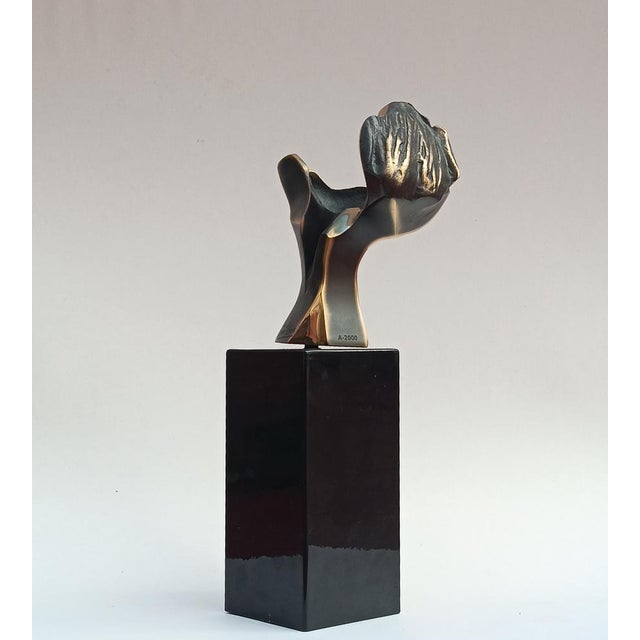 Aluminum & Bronze Sculpture in the Air of His Flight by José Lucas, 2000 For Sale - Image 4 of 10