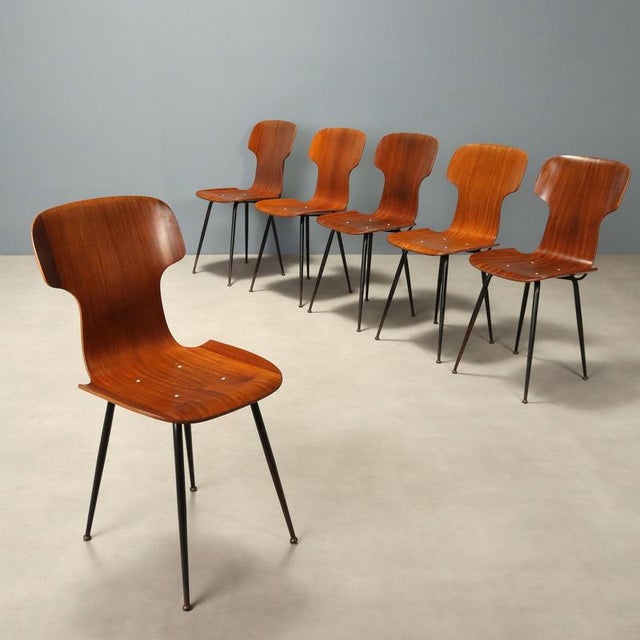 Vintage Bent Plywood Chairs, 1960s, Set of 6 For Sale - Image 9 of 9