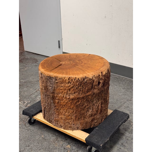 Organic Modern Live Edge Tree Side Table/ Stools, Set of Four For Sale - Image 10 of 12
