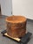 Organic Modern Live Edge Tree Side Table/ Stools, Set of Four For Sale - Image 10 of 12