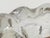 1920’s Italian Blown Glass Bowl Attributed to Ercole Barovier For Sale - Image 9 of 13