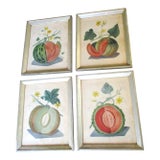 Early 19th Century George Brookshaw (1751-1823) Melon Prints Reproduction - Set of 4 Framed For Sale