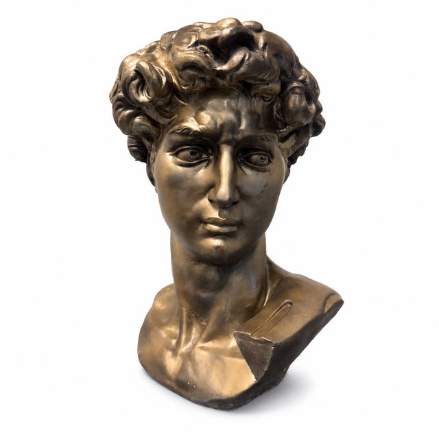 Bronze The Uncrowned King | Cast Stone David Bust, Styled After Michelangelo For Sale - Image 8 of 8