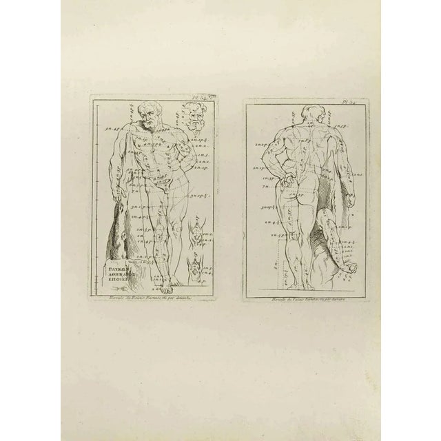 Jean François Poletnich, Hercule, Etching, 18th Century For Sale