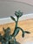 Vintage Bronze Verdigris Coffee Table by Willy Daro, 1970 For Sale - Image 15 of 16