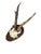 Cabin 1900s Roe deer Trophy Rd80 Black Forest Antlers For Sale - Image 3 of 6