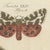 Paper Bertuch, Garden Tiger Moth and Emperor Moth, 1805, Print For Sale - Image 7 of 12
