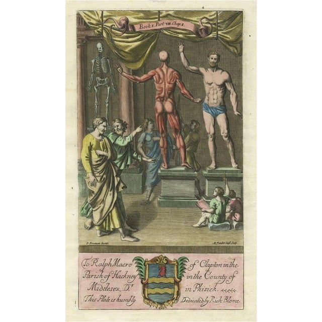 17th Century Anatomy Display with Human Skeleton, 1686, Paper For Sale - Image 5 of 5