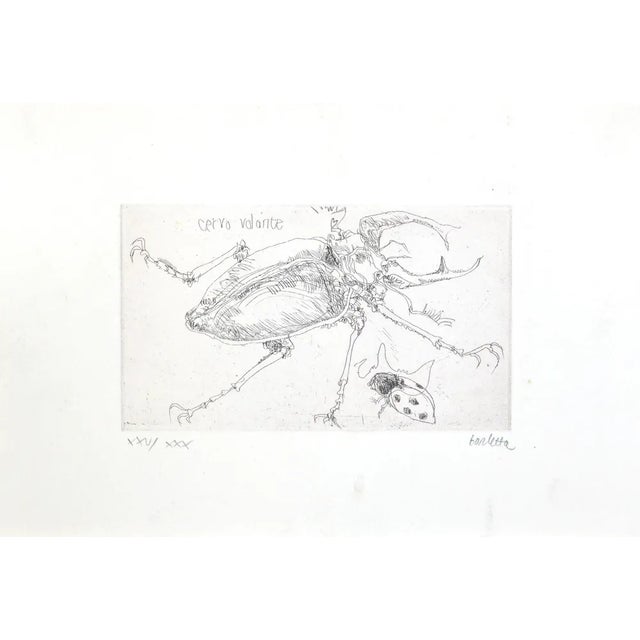 Sergio Barletta, Insects, Etching, 1974 For Sale