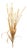 Mixed Fall Grass Spray (Set of 6) For Sale