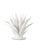 Currey & Company Agave White Objet For Sale