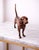 1970s Antique Copper Finish Metal Dog Sculpture For Sale - Image 5 of 11