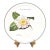 Collectable Villeroy & Boch Pale Pink & White Camelia Wall Plate 1995 For Sale