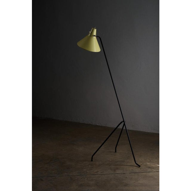 Metal Vintage Grasshopper Tripod Floor Lamp by Willem Van Doorn, 1960s For Sale - Image 7 of 9