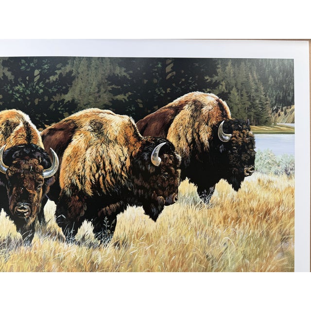 American 1990s Jocelyn Lillpop Russell Boundary Line Bison Buffalo Yellowstone National Park Signed Numbered American Print For Sale - Image 3 of 11