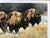 American 1990s Jocelyn Lillpop Russell Boundary Line Bison Buffalo Yellowstone National Park Signed Numbered American Print For Sale - Image 3 of 11