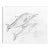 1930s Helen Malta Dolphin Drawing For Sale
