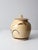 Vintage Dodge Station Pottery Cookie Jar For Sale - Image 4 of 11